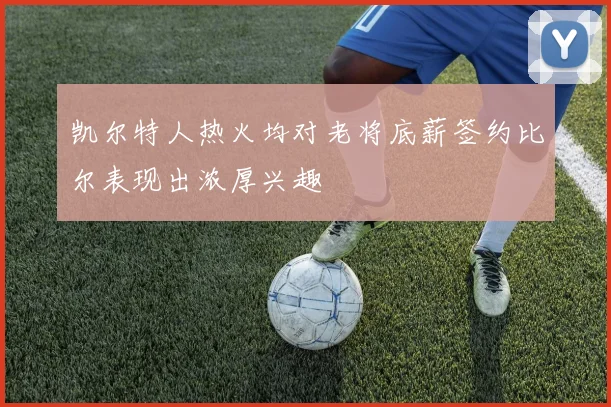 凯尔特人热火均对老将底薪签约比尔表现出浓厚兴趣