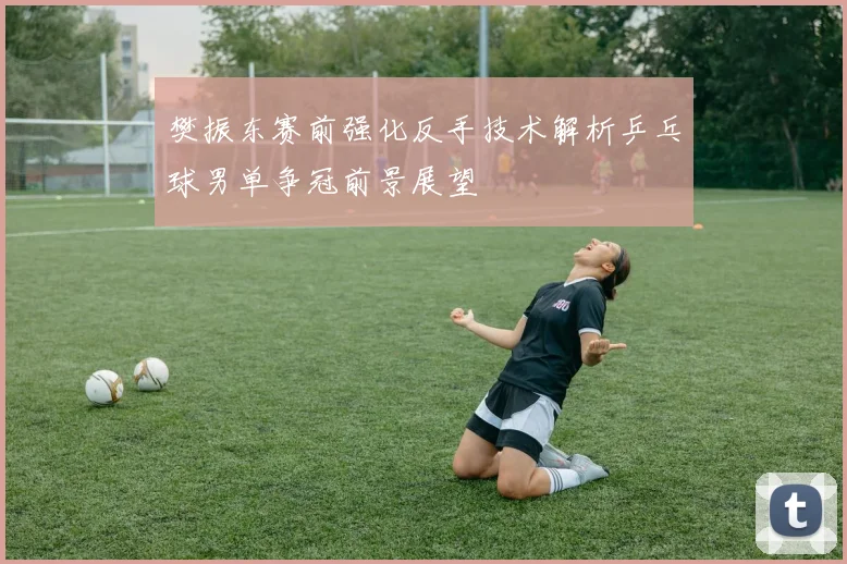 樊振东赛前强化反手技术解析乒乓球男单争冠前景展望